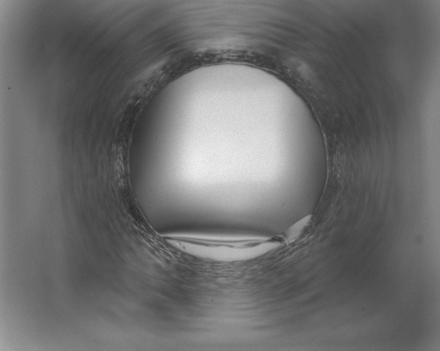 X0000062141062200512301521