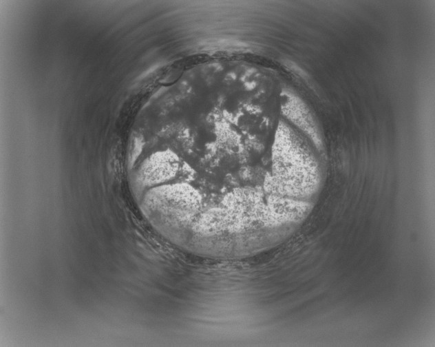 X0000062141063200512301521