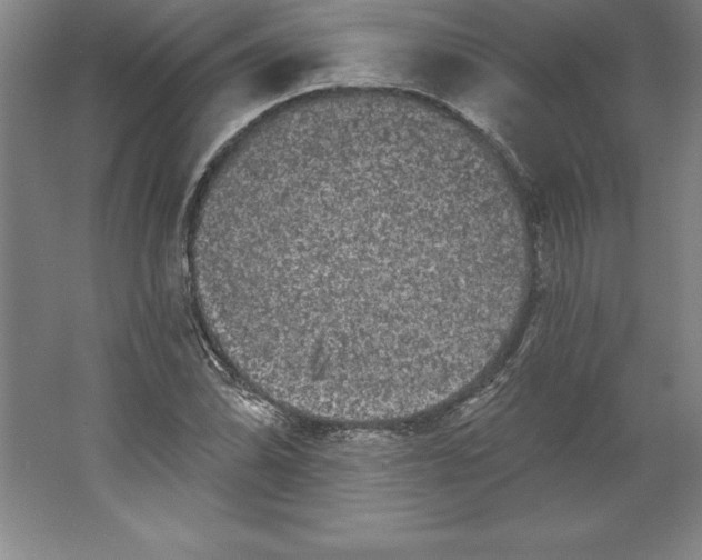 X0000062141070200512301521