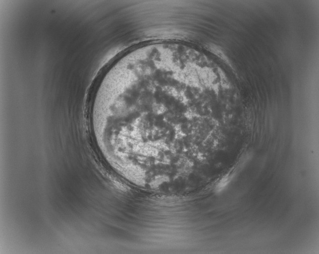 X0000062141071200512301521