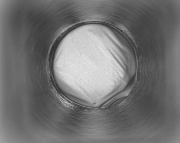 X0000062141072200512301521