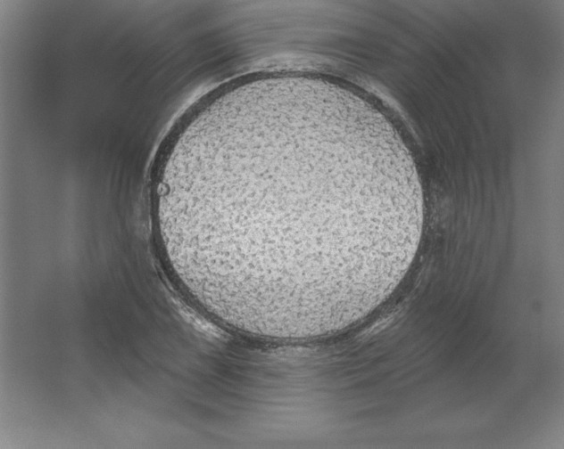 X0000062141075200512301521