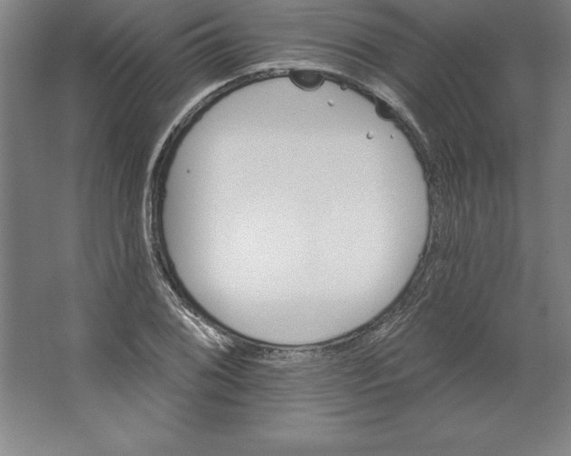 X0000062141076200512301521