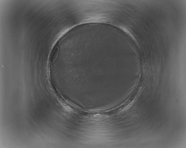 X0000062141077200512301521