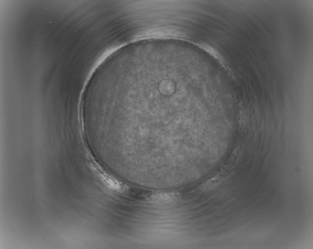 X0000062141078200512301521