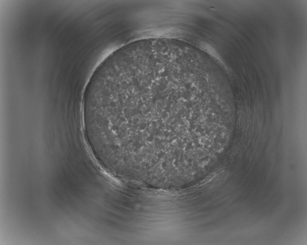 X0000062141079200512301521