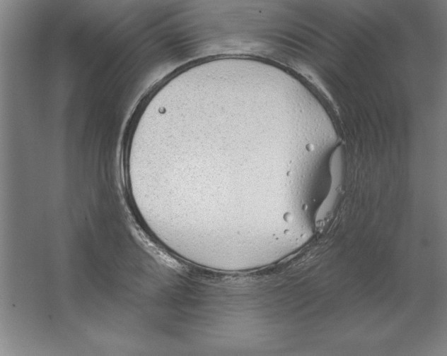 X0000062141080200512301521