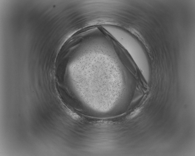 X0000062141081200512301521