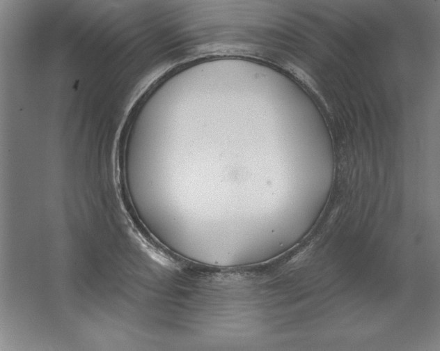 X0000062141082200512301521