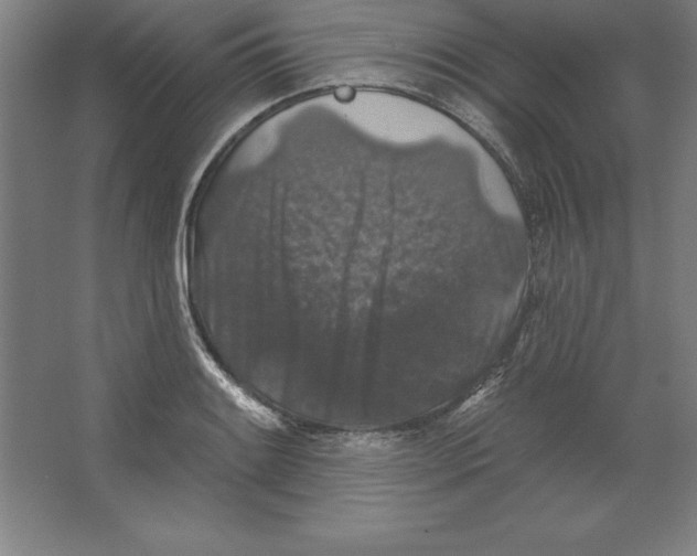 X0000062141084200512301521