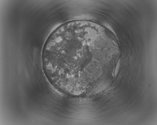 X0000062141087200512301521