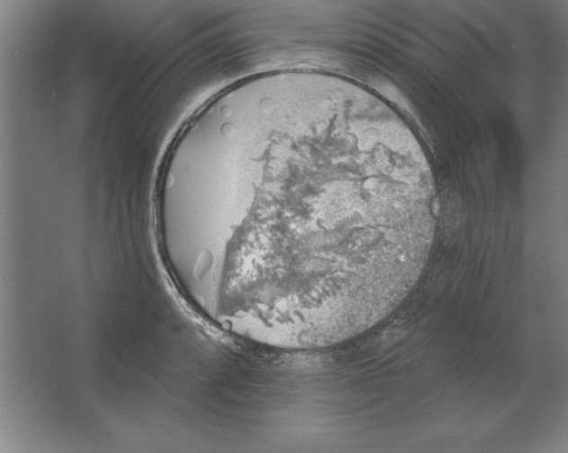 X0000062141088200512301521