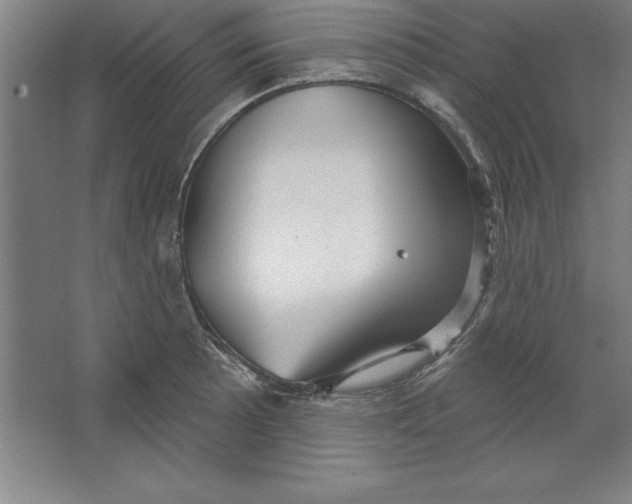 X0000062141089200512301521