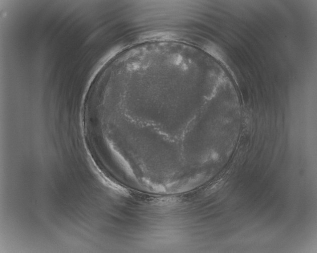 X0000062141090200512301521