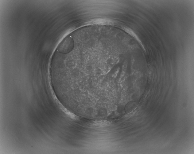 X0000062141091200512301521