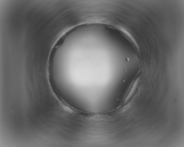 X0000062141093200512301521