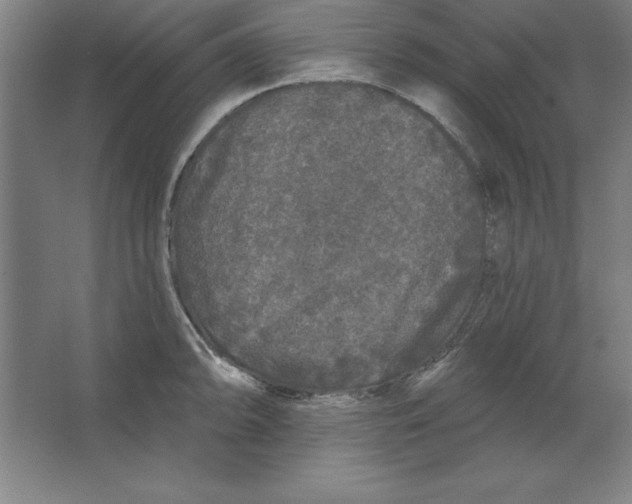 X0000062141094200512301521