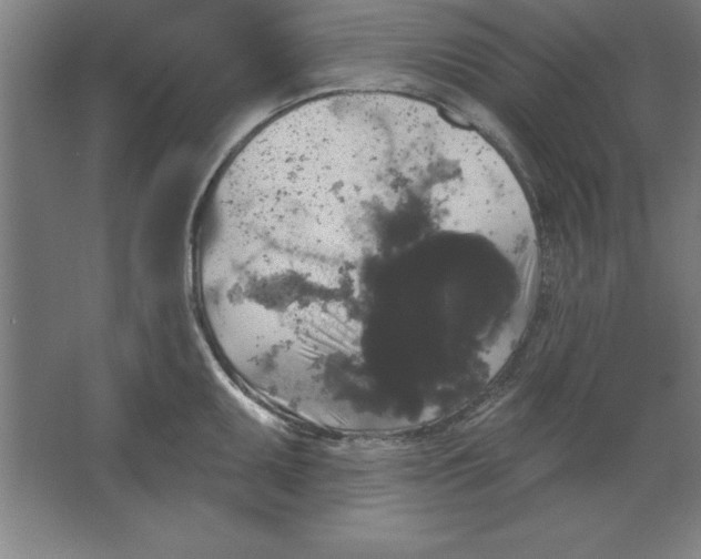 X0000062141095200512301521