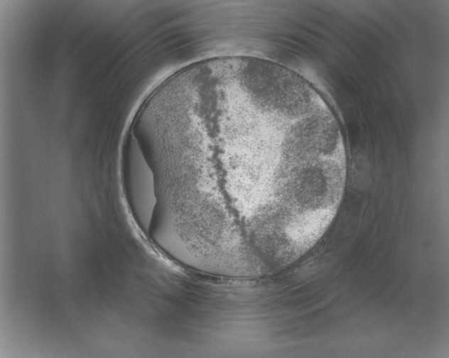 X0000062141096200512301521