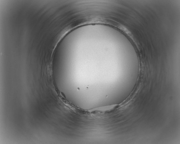 X0000062141097200512301521