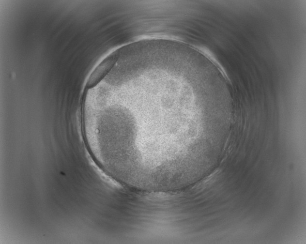 X0000062141100200512301521