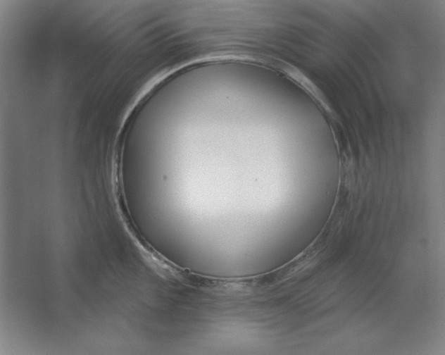 X0000062141101200512301521