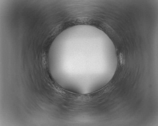 X0000062141107200512301520