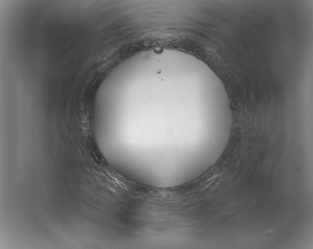 X0000062141109200512301520