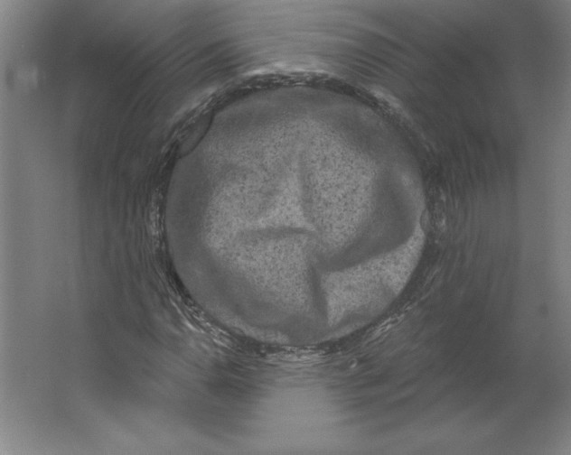 X0000062141110200512301520