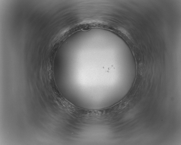 X0000062141111200512301520