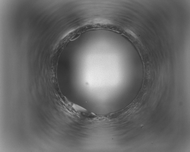 X0000062141112200512301520