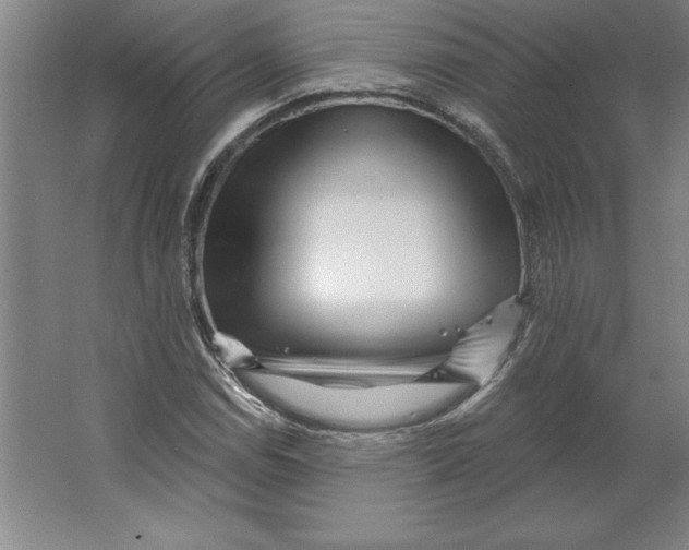 X0000062141114200512301520