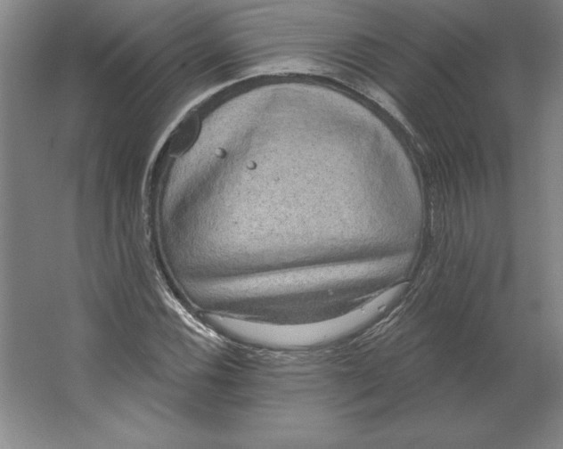 X0000062141116200512301520