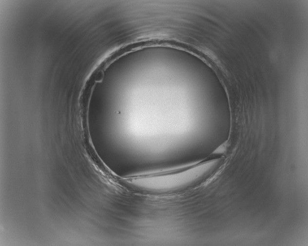 X0000062141118200512301520