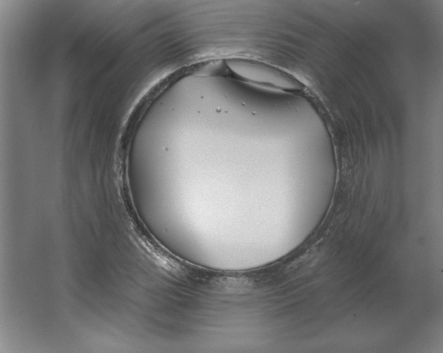 X0000062141119200512301520