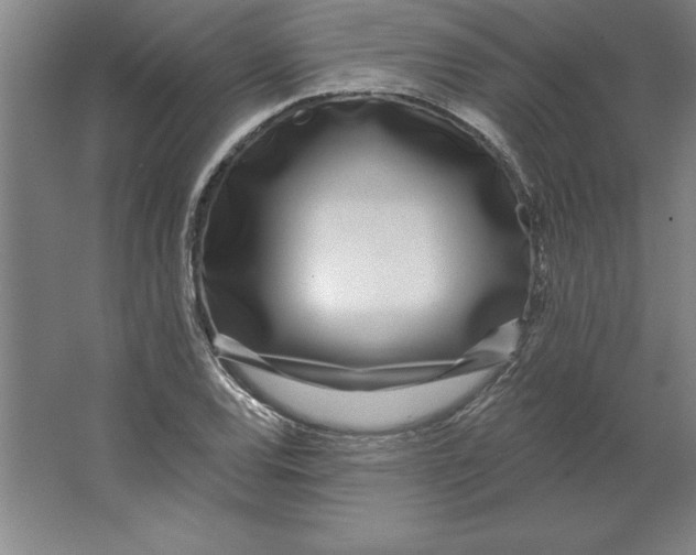 X0000062141120200512301520