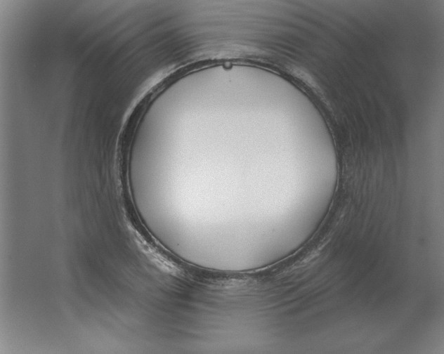 X0000062141122200512301520