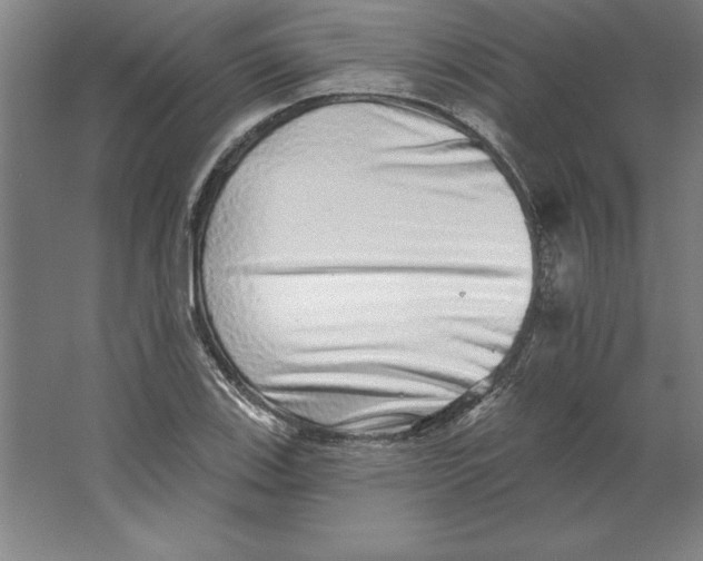 X0000062141123200512301520