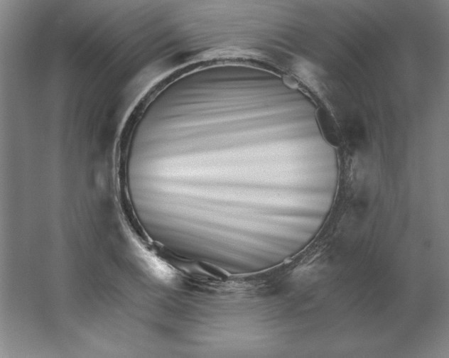 X0000062141124200512301520