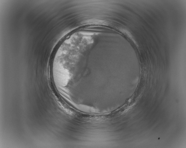 X0000062141125200512301520