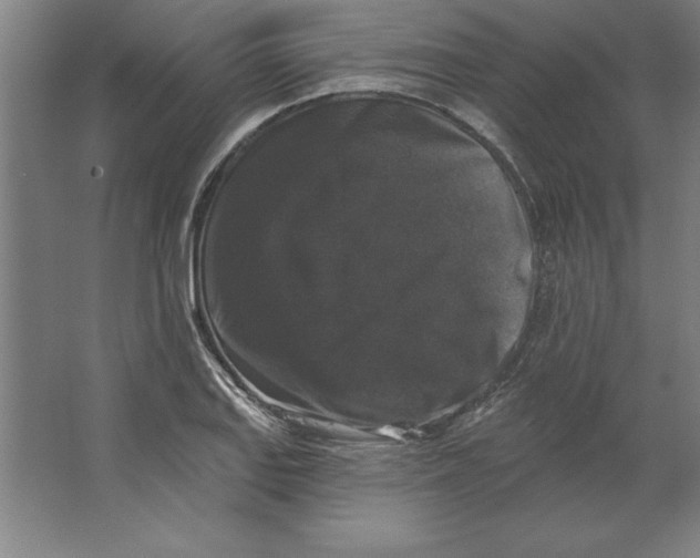 X0000062141127200512301520