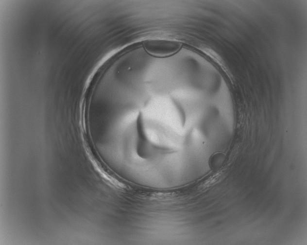 X0000062141128200512301520