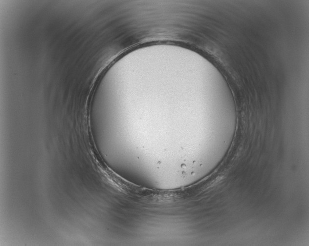 X0000062141129200512301520