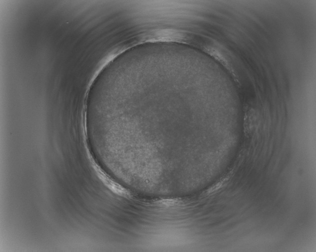 X0000062141130200512301520