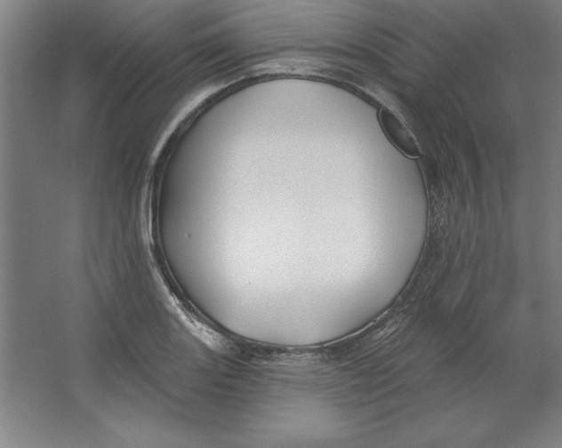 X0000062141131200512301520