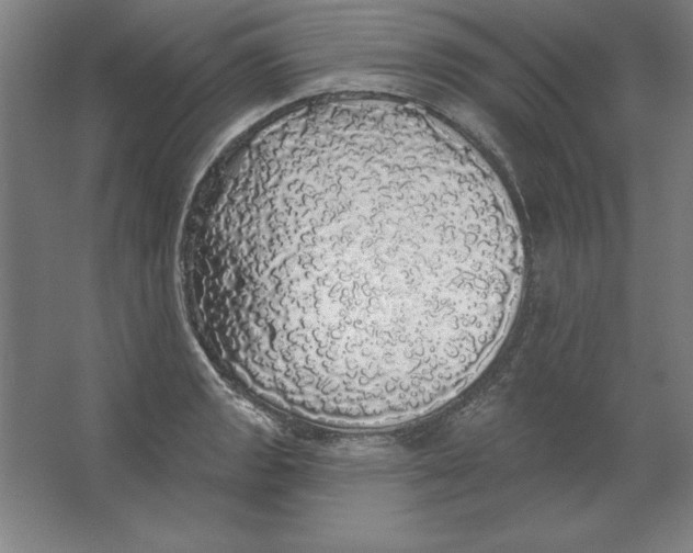 X0000062141133200512301520