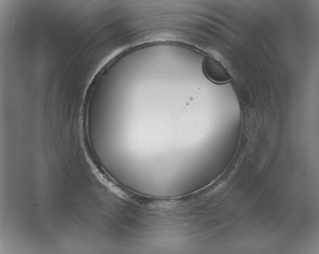 X0000062141134200512301520