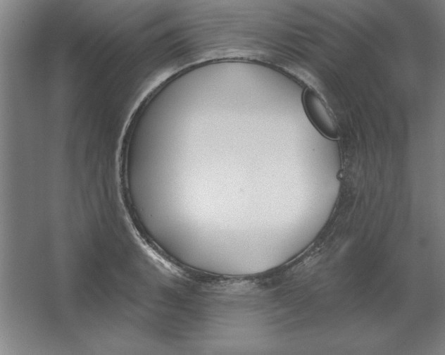 X0000062141135200512301520