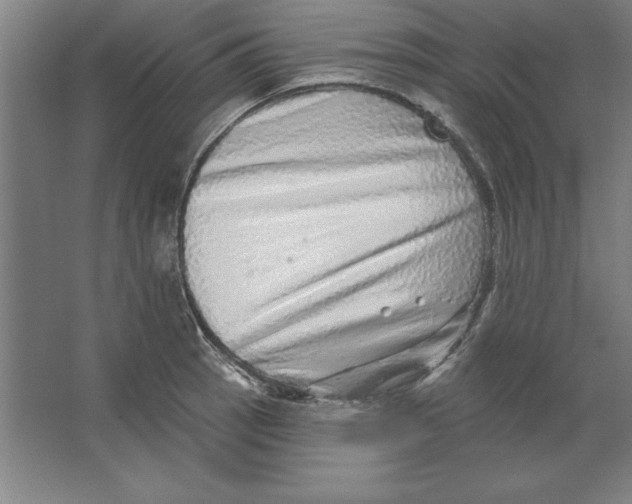 X0000062141137200512301520