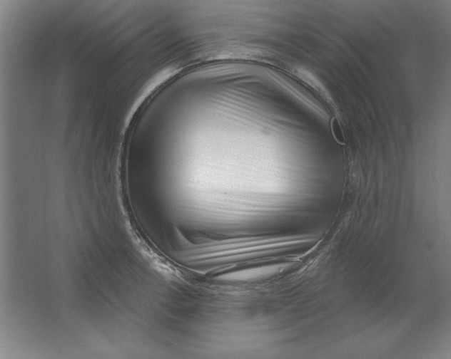 X0000062141138200512301520